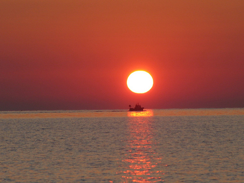 Media_httpfarm3static_eoihp