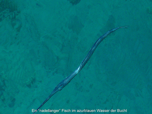 Media_httpfarm3static_cifyd