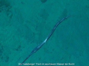 Media_httpfarm3static_cifyd