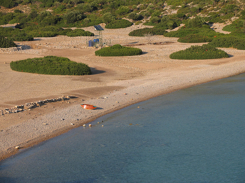 Media_httpfarm3static_zzoes