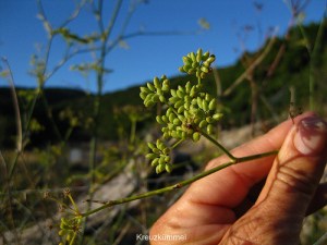 Media_httpfarm4static_tzzdj