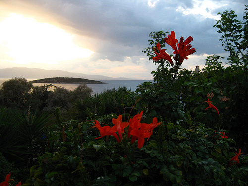 Media_httpfarm4static_aafnw