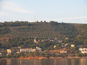 Media_httpgerhardspen_bteaq