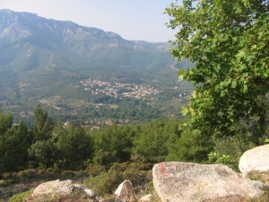 Media_httpgerhardspen_evctu