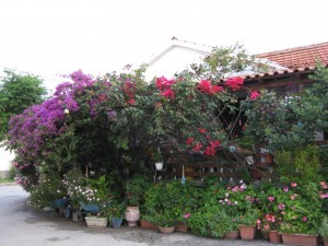 Media_httpgerhardspen_kihkv