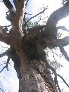 Media_httpgerhardspen_whfwu