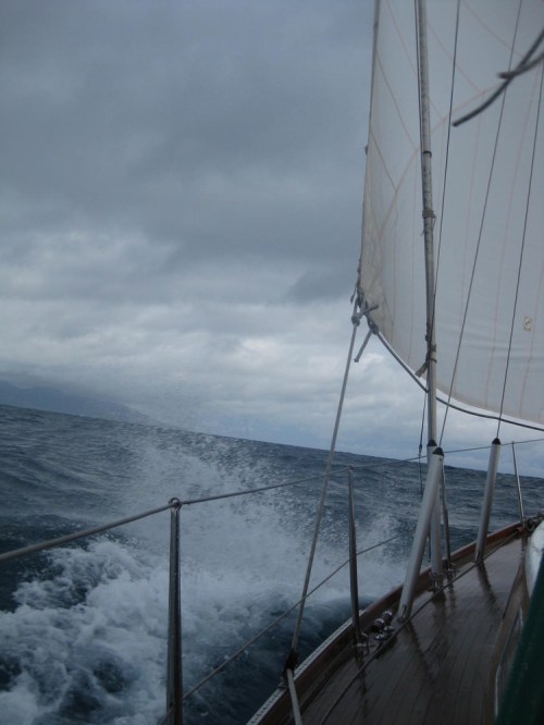 Statt_video_schnappschuss_nach