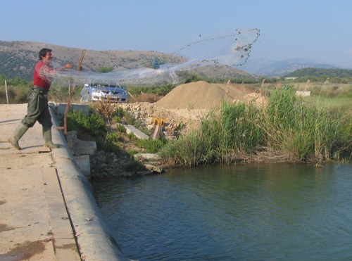 Elegenter_wurf_des_netzes