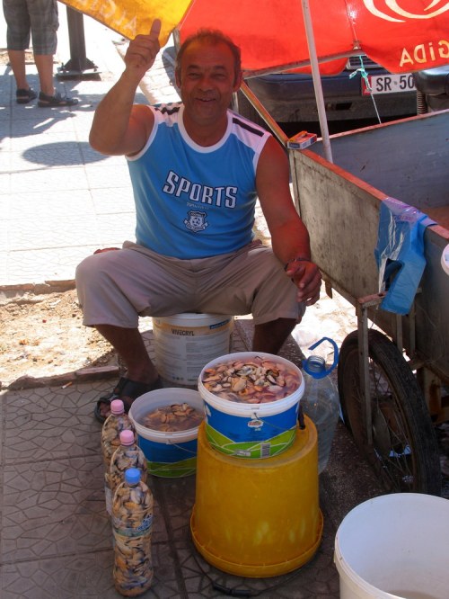 Muscheln_vom_butrintit_see