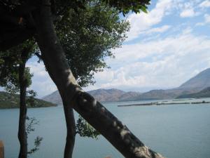 Traumhafte Ruhe am See