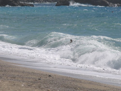 Starker_wind_in_palmi