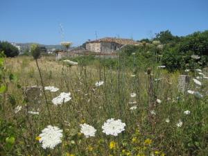 Zwischen Disteln Ferienhütten...