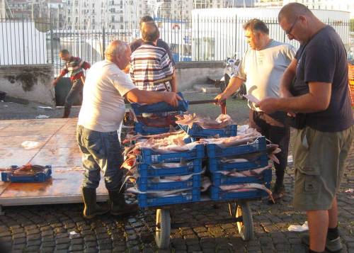 Fischversteigerung_4