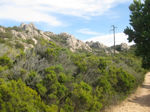 Kein_durchkommen_seitab