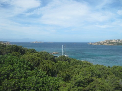 Wilde_macchia_wenige_segler