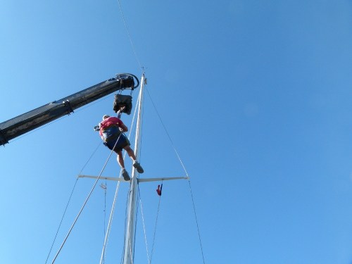 Fachleute_legen_den_mast