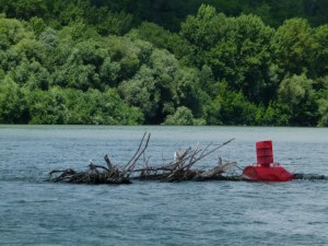 Schmutzfänger Boje (1000x750)
