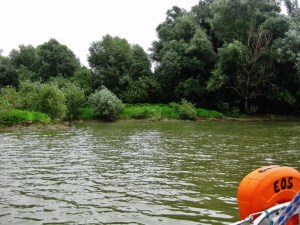 Unser Ankerplatz vor Belgrad