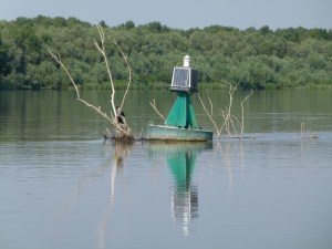 Bojen fangen das Treibholz (2000x1500)