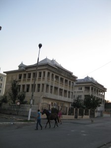 Pferd im Strassenverkehr (1200x1600)