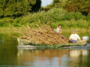 Statt ein Sprinter ein Boot zum Holztransport
