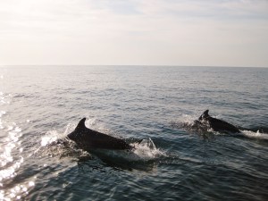 Kunststücke neben der EOS