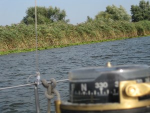 ...und ewig rauscht das Schilfmeer