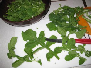 Der scharfe Blattsalat, evtl. Rauke