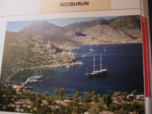 In Bozuk Bükü (1000x750)