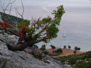 Kleine Wanderung auf den Hügel (1500x1125)