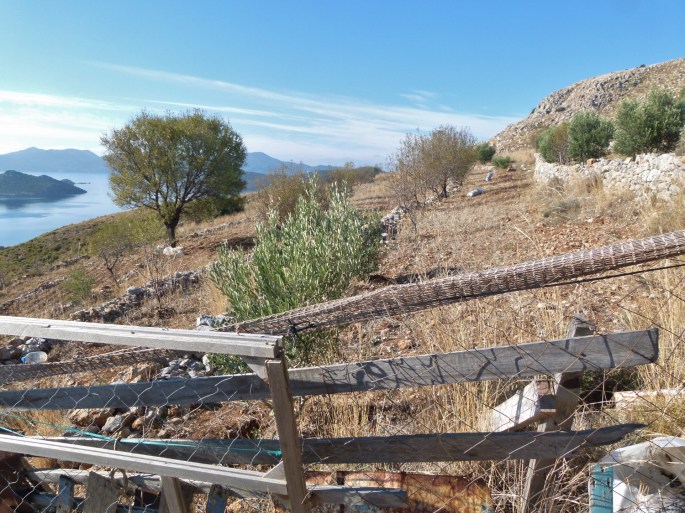 Der Mandelhain (1500x1125)