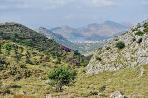 Das Tal in Richtung Bozburun