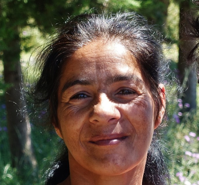 Das Schicksalsgesicht (800x743)