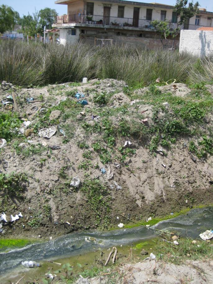 Vlores,arm+reich (6)