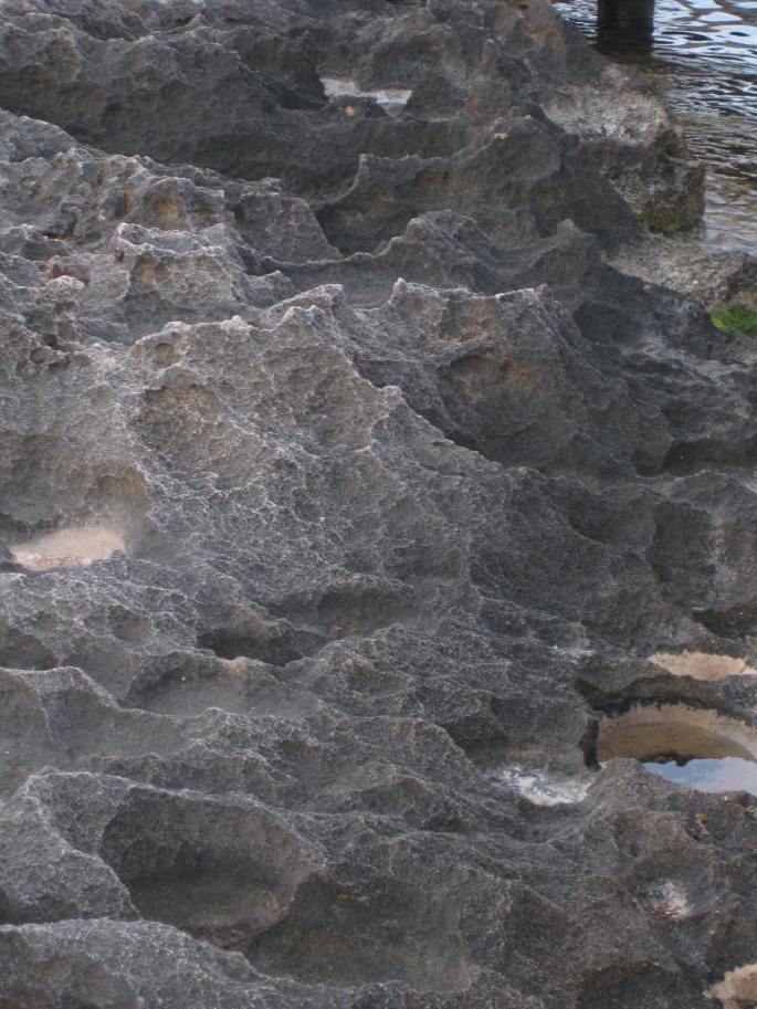 Bizarre zerklüftete Felsenküste LEUCA