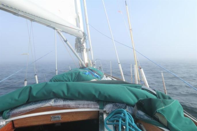 Nebel am Morgen (Copy)