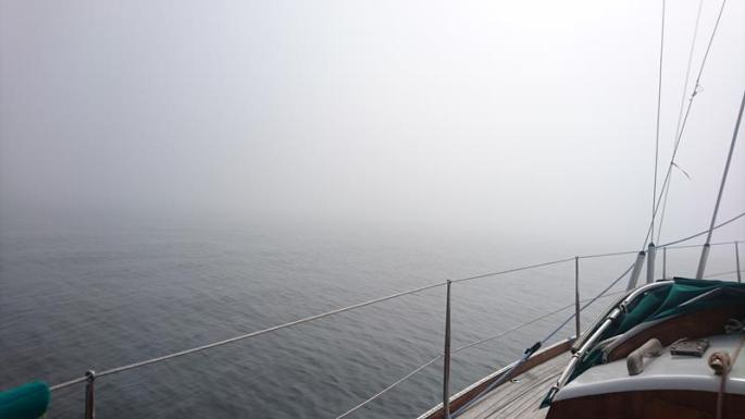 Bei Nebel nach Hölick (3) (Copy)