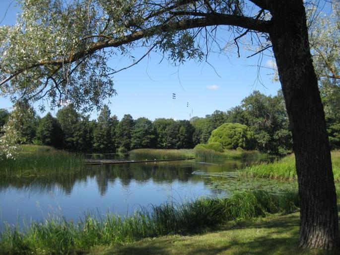 Gäfle, Park-wanderweg 24.7 (8) (Copy) - Kopie