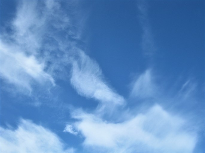 Malskären, 30.6.-1.7. Ankerbucht Wolkentaube(13)