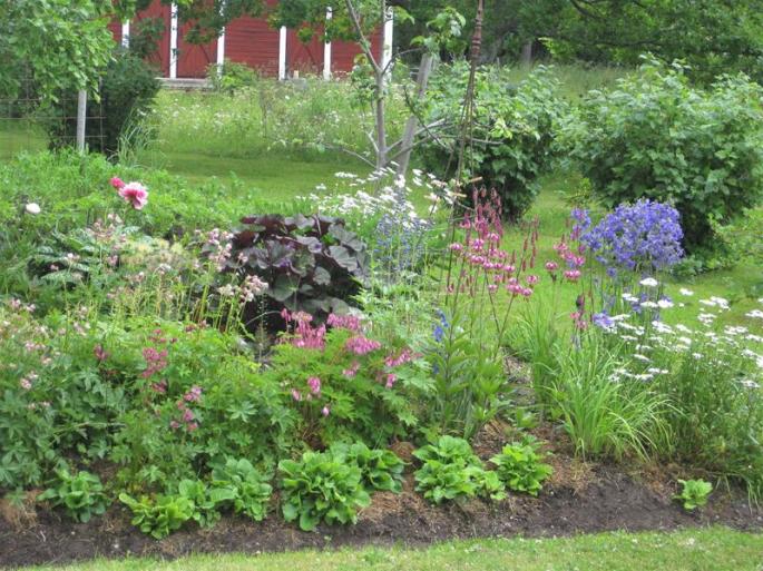 Natur in Grün und Blumenpracht (1) (Copy)