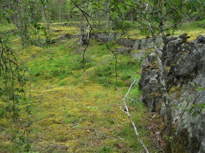 Natur in Grün und Blumenpracht (4) (Copy)