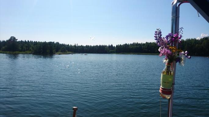 Segeln zu Saltpan Ankerbucht (3) (Copy)