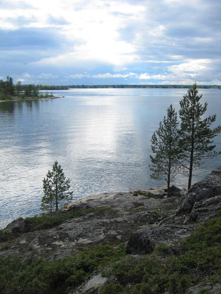 Urnatur Norrbyskär Fjordtundra (11) (Copy)