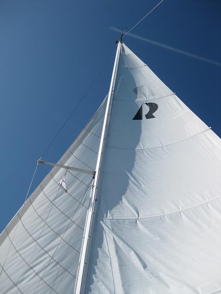 bis Mönsteras (10) (Copy)