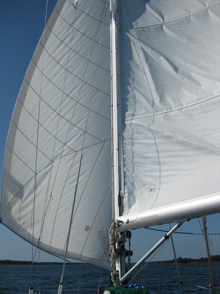 bis Mönsteras (11) (Copy)