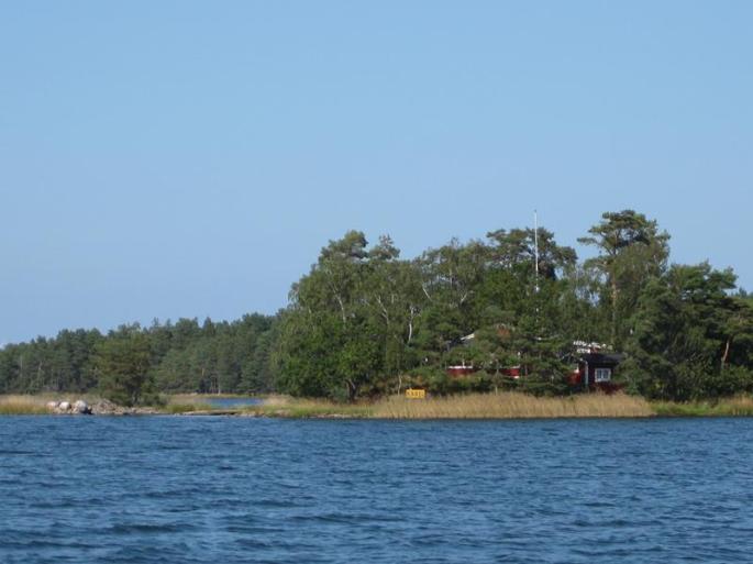 bis Mönsteras (12) (Copy)