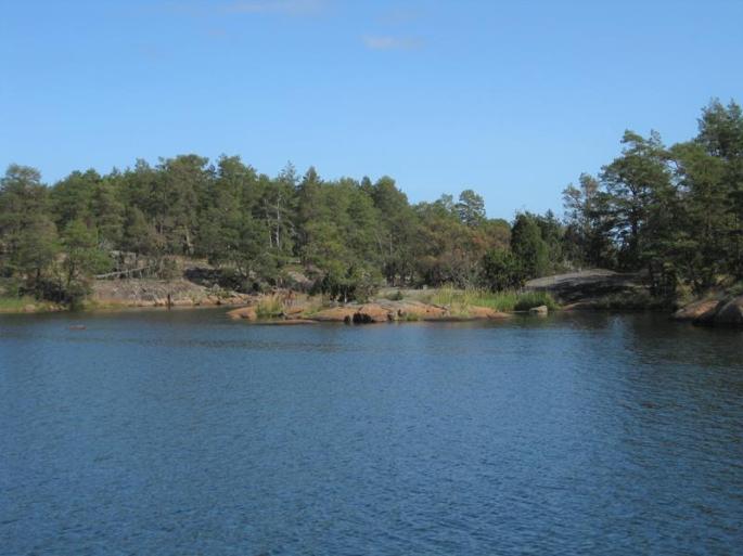 bis Paskallavik (8) (Copy)