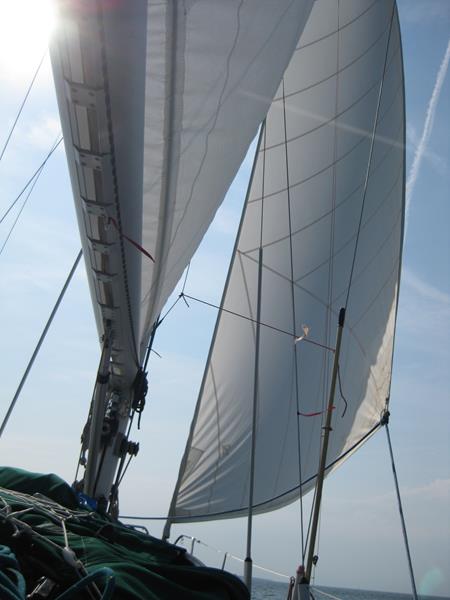 Hart am Wind mit 4-5 bft an Ölands Küste (2) (Copy)