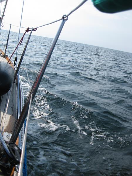 Hart am Wind mit 4-5 bft an Ölands Küste (4) (Copy)