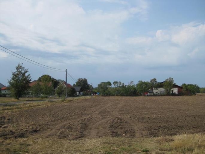 IMG_5901-Kartoffelernte vorbei (Copy)